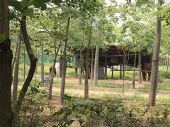 -广东花都香草世界旅游度假区