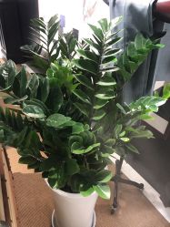 -BRANS PORO布朗斯伯勒西装高级定制·瑞璞西装(金陵店)