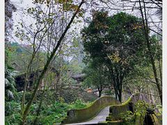 -凤栖山
