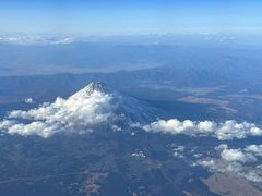 -宫城藏王狐狸村