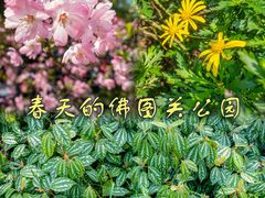 -佛图关公园