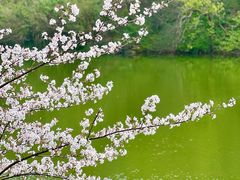 -南山风景名胜区