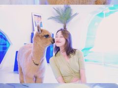 -Blue Concept Cafe&Farm·關於藍