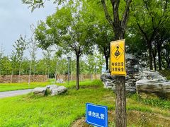 -马家湾湿地公园