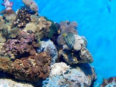 -福州罗源湾海洋世界旅游区