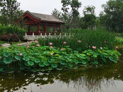 -西海子公园