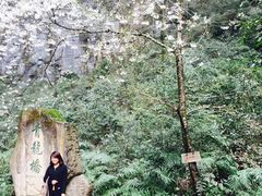 -武隆天坑地缝国家地质公园