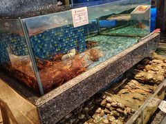 -乾隆美食·本帮菜(黄河路店)