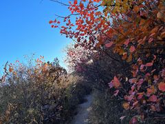 -北京西山国家森林公园