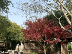 -新荣记(西溪湿地店)