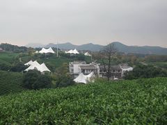 -帐篷客·溪龙茶谷度假酒店