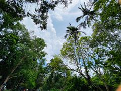 -中国科学院西双版纳热带植物园