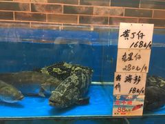 水产区-叶氏大快活酒楼·佛山老字号