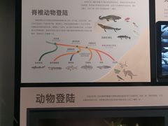 -四川大学博物馆