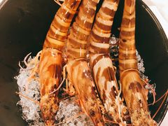 -鲜入围煮花胶鸡海鲜火锅