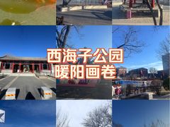 -西海子公园