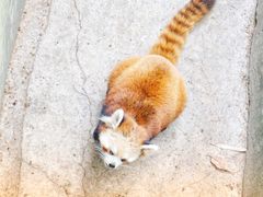 -昆明动物园