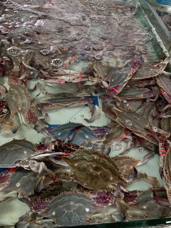 石塘路海鲜市场-"记得很多年前来过,这次来感觉外面都变了,.