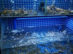 水产区-吉源大排档·鱼生·海鲜(烧烤彩印厂店)