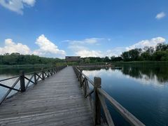 -溱湖国家湿地公园