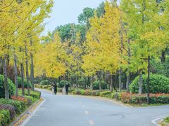 -黄陂区野村谷景区
