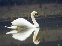 -杭州野生动物世界