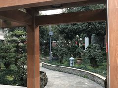 -老幺泉水鸡