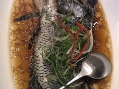 -骏莱海鲜鱼港(五角场店)