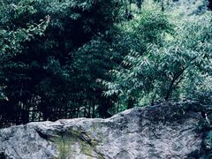 -终南山国家森林公园