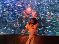 -成都浩海立方海洋公园