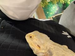 -藦茜花园宠物主题亲子互动体验馆(国顺东路店)