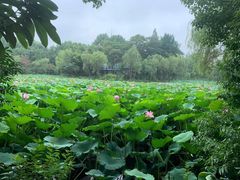 -董永七仙女文化园