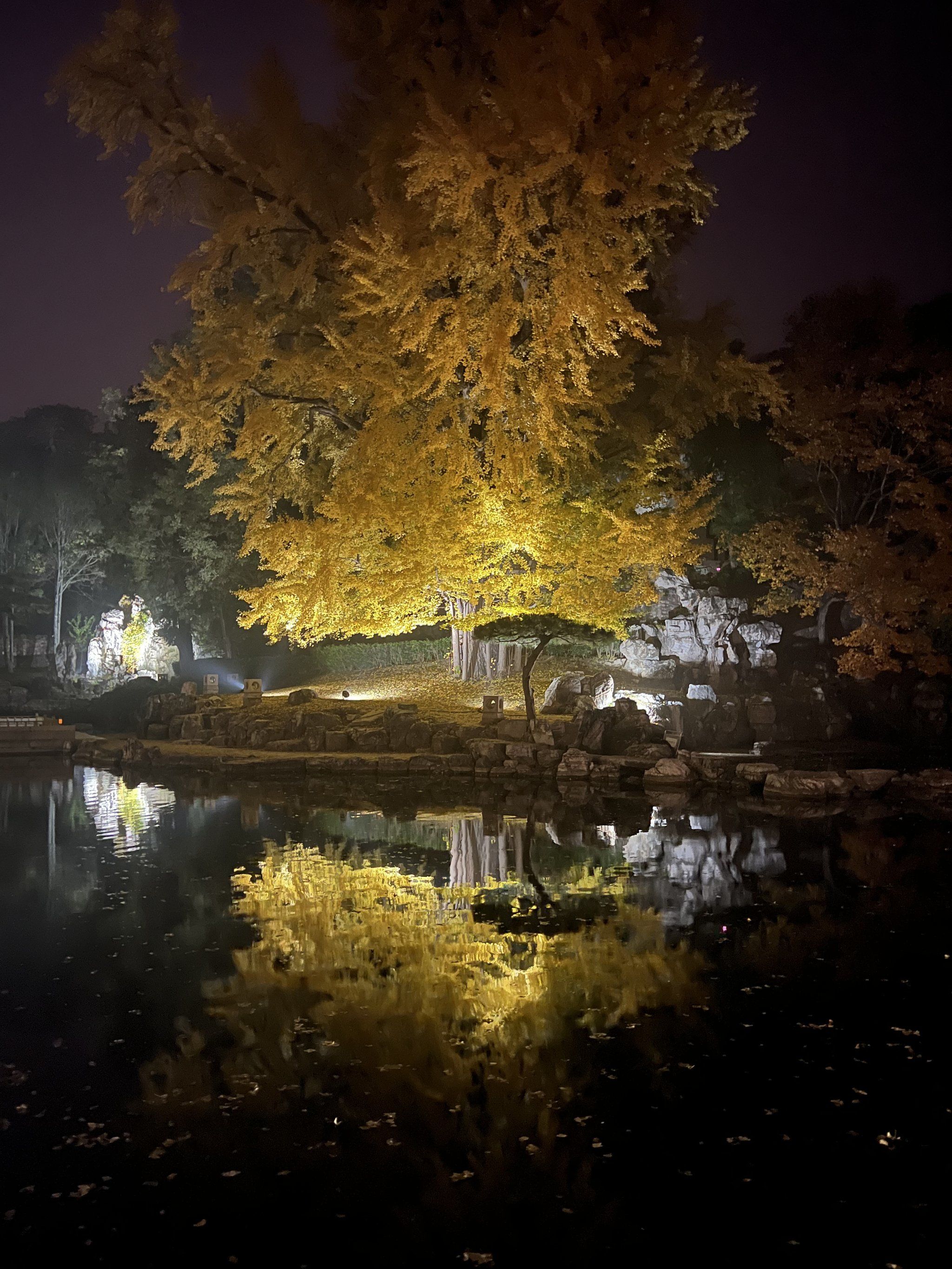 香山饭店内夜景