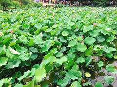 -韶山毛泽东同志故居