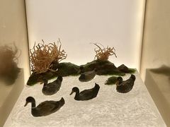 -德基艺术博物馆