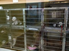 -瑞鹏宠物医院·骨科·猫科·内科(第一中心)