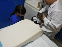 -宠福鑫动物医院(立水桥分院)