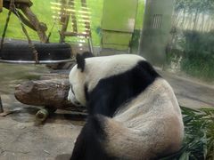 -柳州市动物园