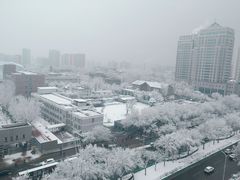 -隆延茶铺(学清路驹然店)