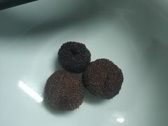 -郑远元专业修脚房(金汤路店)