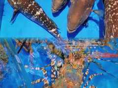 -四川小胡子海鲜(丁村万人海鲜广场店)