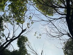 -盘龙城国家考古遗址公园