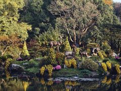 -杭州植物园