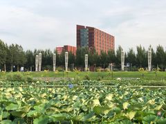 -莫子山公园