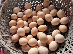 -马陆小张葡萄园农家乐