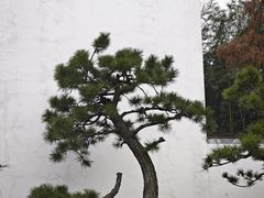 -龙华寺