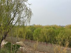 -赵州桥景区