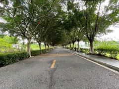 -风云岭森林公园