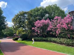 -杭州城北体育公园