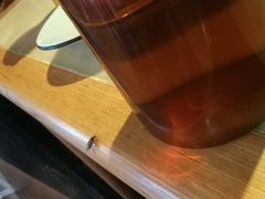 -绿茶餐厅(广州天河城店)